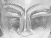 NextGen ScrollGallery thumbnail